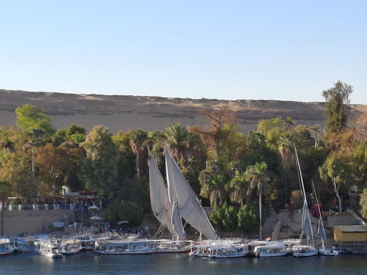 El Prince Guesthouse Asszuán Kültér fotó